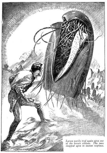 13052025_flameworms_1933.jpg